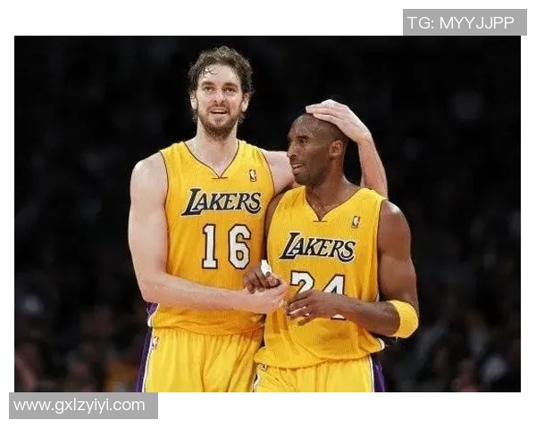 罗恩阿泰斯特的篮球传奇与人生转折：从球场巨星到社会活动家的蜕变之路