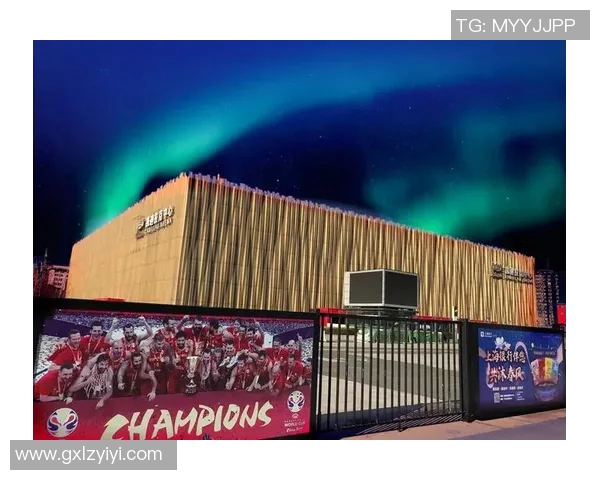 五棵松体育馆的观众容量及其在大型活动中的重要性分析